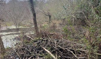 Wilburn Taylor Road, Buckatunna, MS 39322