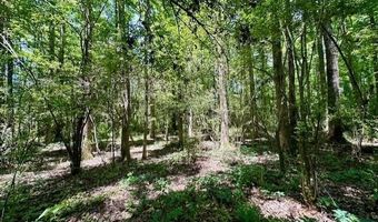 NE Williams Street, Brookhaven, MS 39601