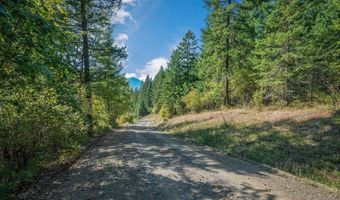 NKA Silver Creek Road, Clark Fork, ID 83811
