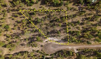 CR 2193, Alpine, AZ 85920