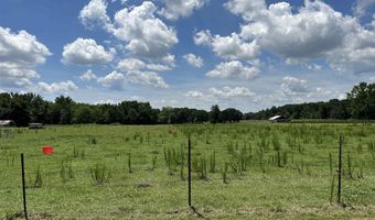 9 1 Ham Rd, Athens, AL 35611