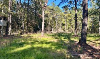 0 Lloyd Mill Rd, Andalusia, AL 36421