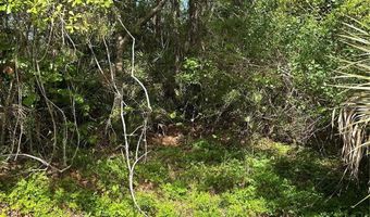 AIRPORT ROAD, Astor, FL 32102