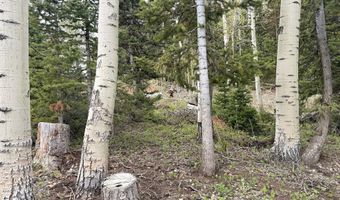 646 W Ski View Dr, Brian Head, UT 84719