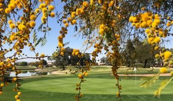 1410 E COUNTY DOWN Dr, Chandler, AZ 85249