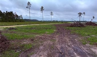 9 219 Ac Rhine Alma GA Rd, Alma, GA 31510