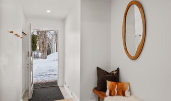 1001 E Cooper Ave 1, Aspen, CO 81611