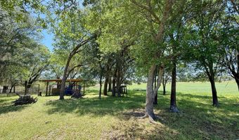 6491 Wolf Pond Rd, Bascom, FL 32423