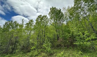 Woodland Hills Road, Andes, NY 13731