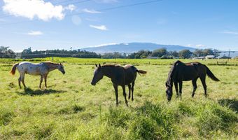64-5208 KEKEHAU St, Kamuela, HI 96743