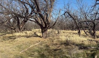 Tbd CR 260, Anson, TX 79501