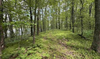 Tract 1 E Bay Road, Atkins, AR 72823