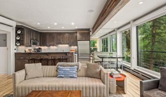 738 S Galena St 1-C, Aspen, CO 81611