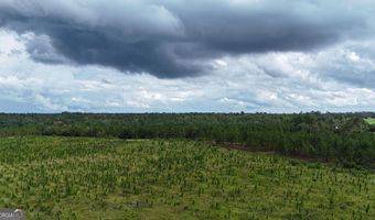 1025 Old Dairy Rd, Ailey, GA 30410