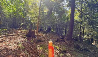 3919 E Bakersfield Rd, Bakersfield, VT 05450