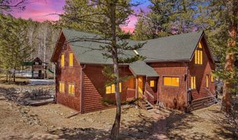 251 Haugen Slide Rd, Allenspark, CO 80510