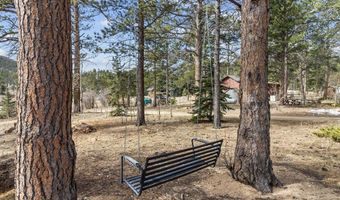 177 Bill Waite Rd, Allenspark, CO 80510
