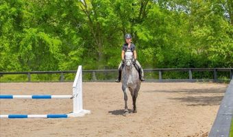 270 N Rochester Rd, Addison Twp., MI 48367