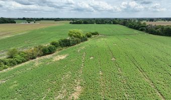 290 CR, Asbury, MO 64832