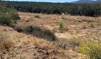 54080 Wellman, Anza, CA 92539