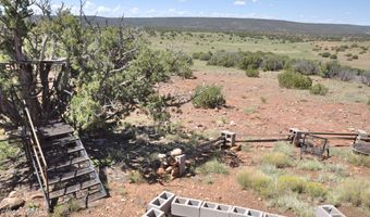 19 N8483, Concho, AZ 85924