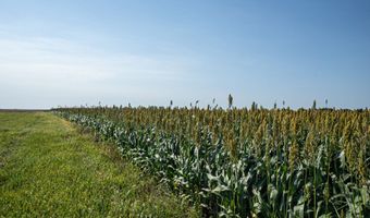 28146 382nd Ave, Armour, SD 57313