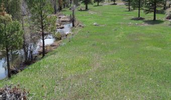 Roney Flat Road, Adin, CA 96006