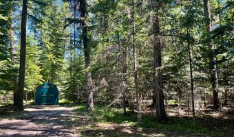 29189 S Ferndale Dr, Bigfork, MT 59911