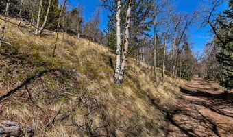 270 Co Rd 667 Lot 0, Alma, CO 80440