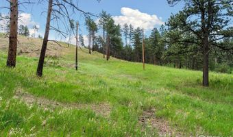 620 Davis Ranch Rd, Bellvue, CO 80512