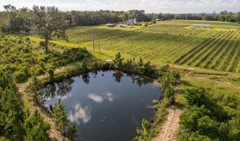 1054 Penny Morris Rd, Baxley, GA 31513