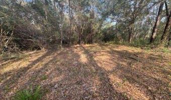 Delta Woods Drive, Bay Minette, AL 36507
