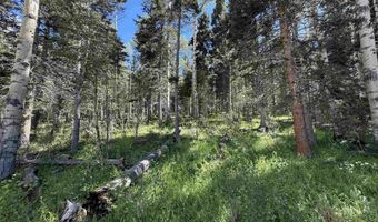 Lot 23 Elk Ridge Road, Angel Fire, NM 97710