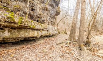 County Road 19-A, Alton, MO 65606