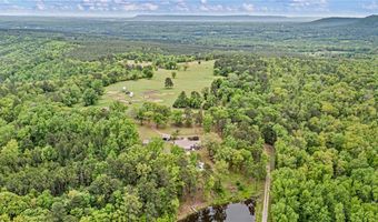 1231 St. Joe Rd, Atkins, AR 72823