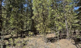 Horned Owl Way 385461, Bonanza, OR 97623