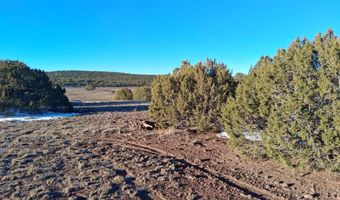 286 County Rd, Concho, AZ 85924
