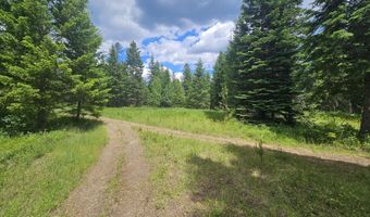 7248 E Honeysuckle Rd, Athol, ID 83801
