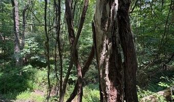 FOX RUN lot 24A 3.22 Ac, Baker, WV 26801