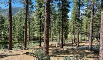 191 Cartwright Ct 246, Carson City, NV 89705