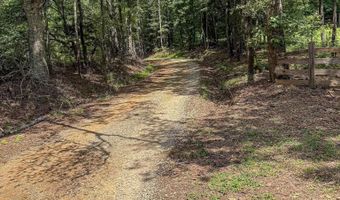 1540 PEPPER Rd 49+/- Acres, Ashland, AL 36251