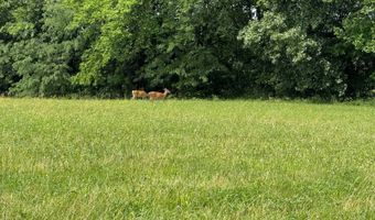 105 Firefly Ct, Altamont, MO 64620