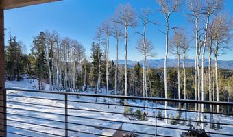 24 Beaver Loop, Angel Fire, NM 87710