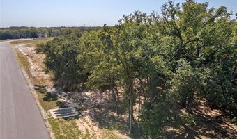 110 Pringle Ct, Alvord, TX 76225