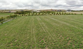 906 7th St NW, Bowman, ND 58623