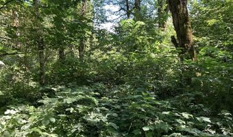NE 197th Ct, Amboy, WA 98601