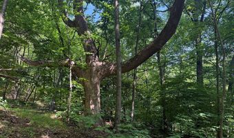281 Scotts Branch Rd, Amherst, VA 24521