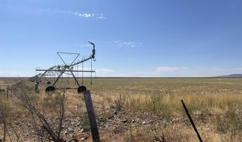 138 Laidlaw Park Rd, Carey, ID 83320