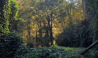 Lords Way, Andrews, NC 28901