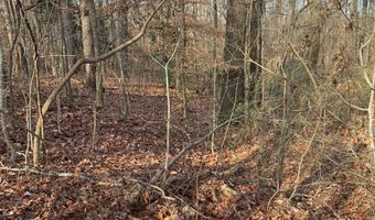 7700 Poole TRACT B, Alto, GA 30510